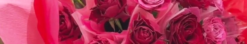 ノーブルグー レッスン